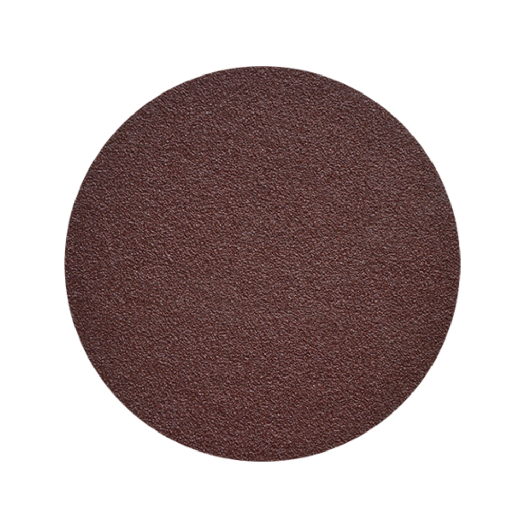 DISCO LIJA 2909 P80 9" PSA