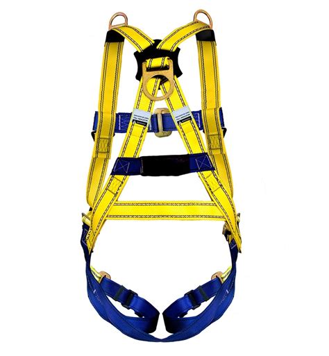 ARNES CON ANILLO D EN ESPALDA