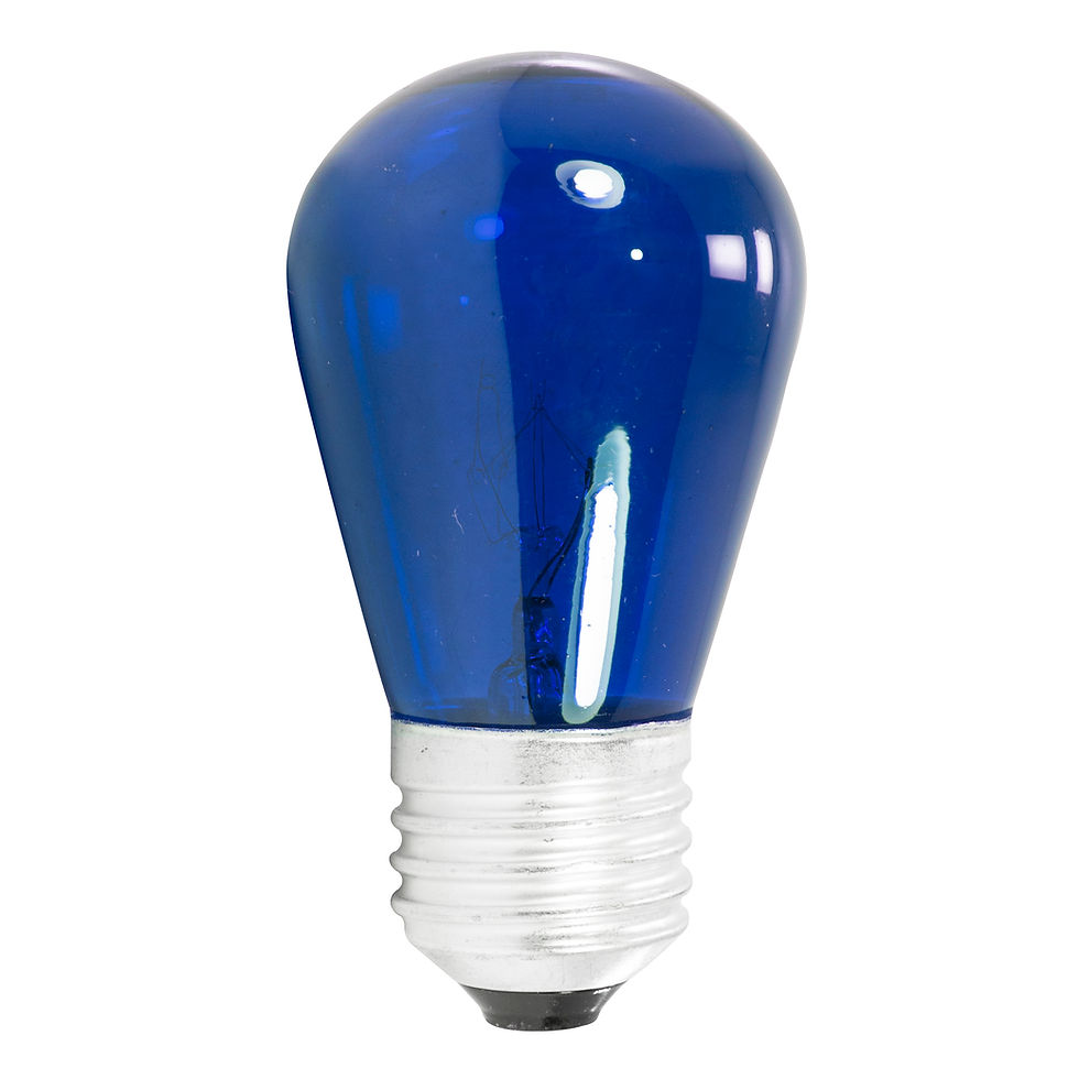 FOCO PARA ANUNCIO AZUL 10 WATTS