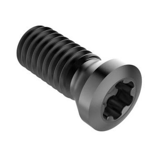 [382-89-01-004] TORNILLO C05013-T20P